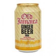 D&G GINGERBEER 330ml