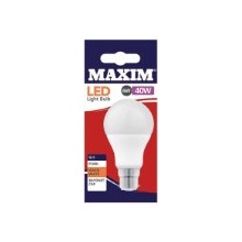 MAXIM Led 6w-40w Bc Gls PEARL WARM WHITE BULB