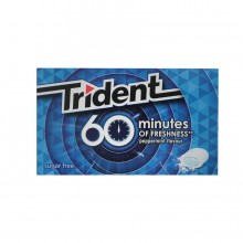 TRIDENT PEPPERMINT GUM 20g