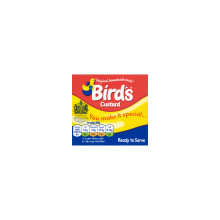 BIRD'S CUSTARD CARTON 500G